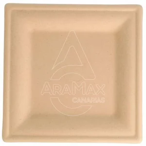 PLATOS CUADRADOS NATURAL BAGAZO