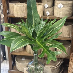 Ramo selvático en Vasija