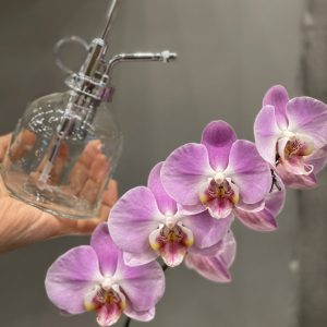 Rociador para orquideas