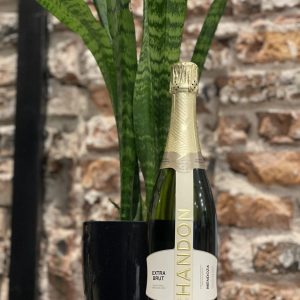 Chandon y Sanseviera