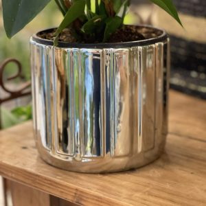 Maceta Plata