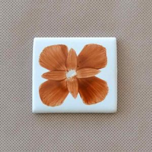 Pigmento sobre cubierta SC – 21 (Marrón Claro)